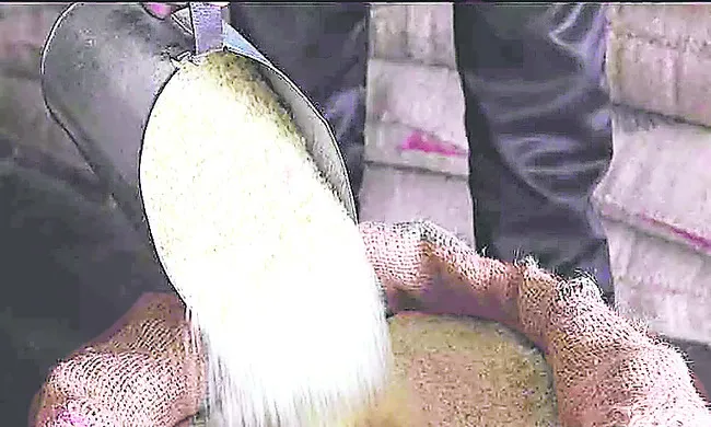 కొత్త కార్డుదారులకు రేషన్‌