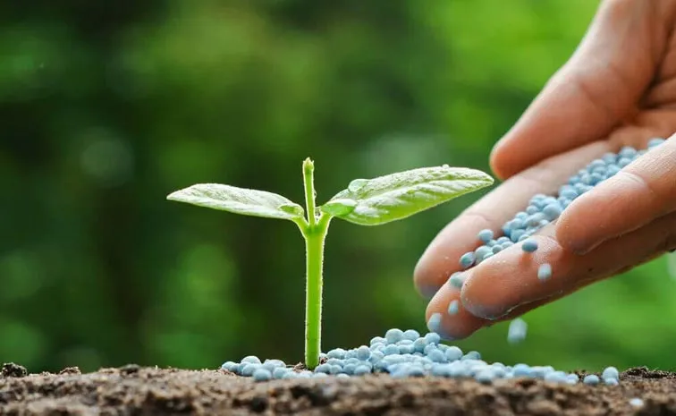Fertilizer subsidy in five years Rs. 9. 7 lakh crore