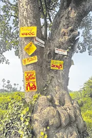 Trees damaged by nails for signboards: Removal of nails in Bhadradri district12