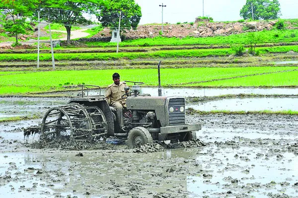 రెండు పంటలకూ భరోసా