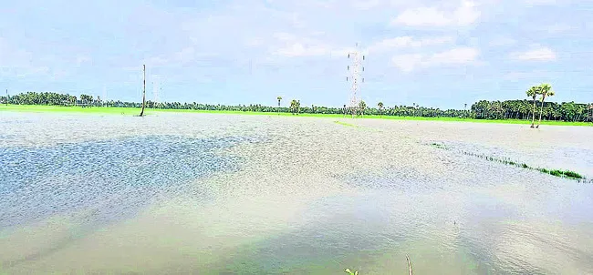 ఎడతెగ