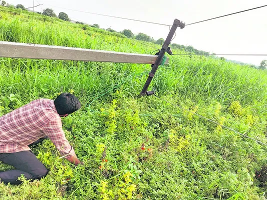 మృత్య