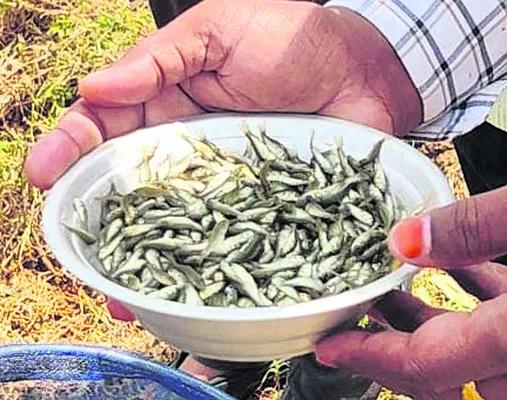 టెండర్లకు గ్రీన్ సిగ్నల్..
