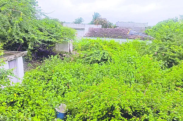 ఫాగిం