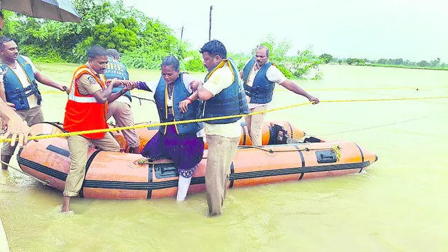 నాట్ల