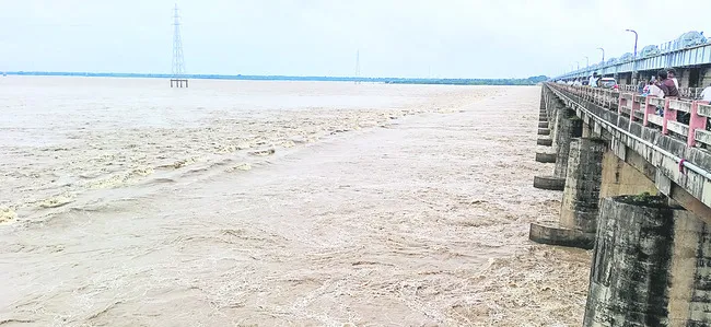 పెరిగ
