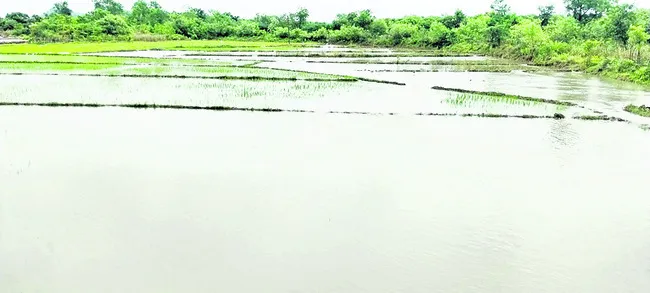 వర్షం.. హర్షం