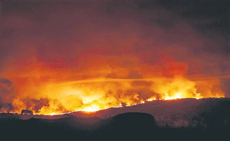 Spain is currently battling 20 major wildfires as a strong heatwaves
