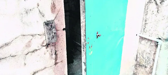 ఆశ్రీ
