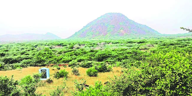 నైరాశ