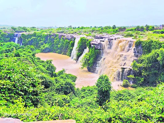 ముఖ్యమైన ఫోన్‌ నంబర్లు
