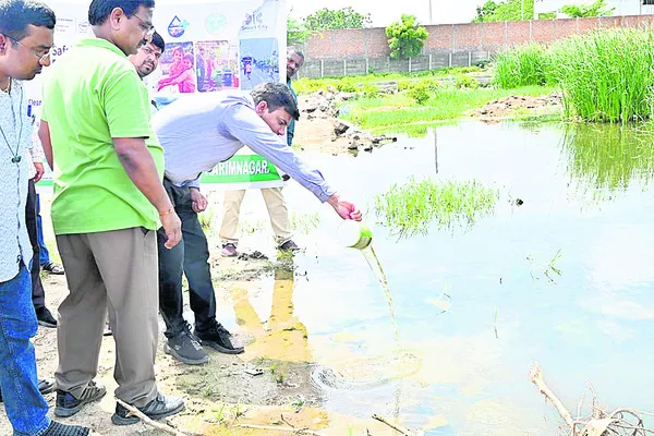 దోమలప