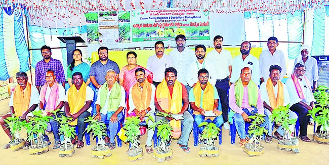 పంట మార్పిడి విధానంతో రైతులకు మేలు