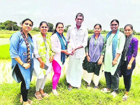 ఆరుతడి పంటల సాగుతో లాభాలు