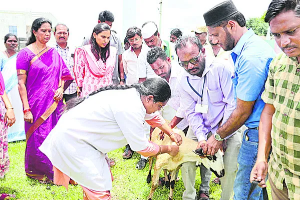రంగనా