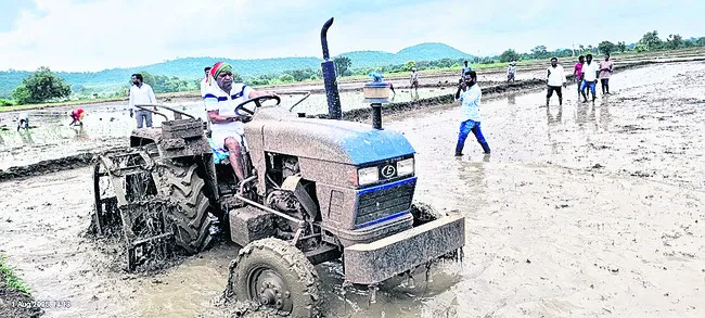 ●కూలీలతో భోజనం.. ఆపై వరి పొలం దమ్ము, నాట్లు
