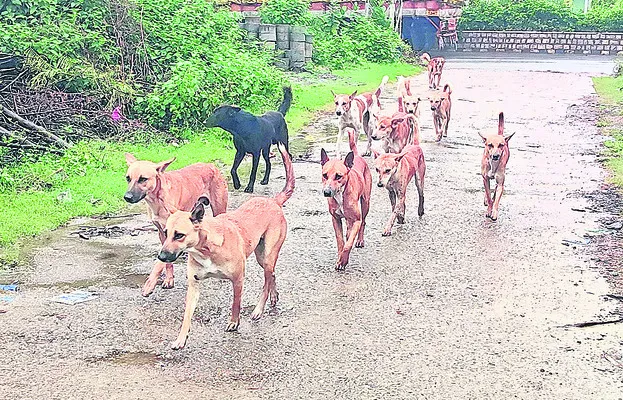 బయటకొ