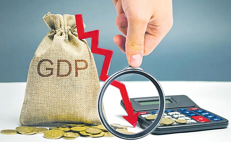 Fitch cuts India GDP growth projections to 6. 3 percent
