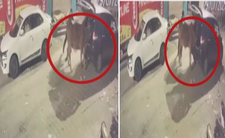 Shocking Incident Of Cow Theft In Secunderabad