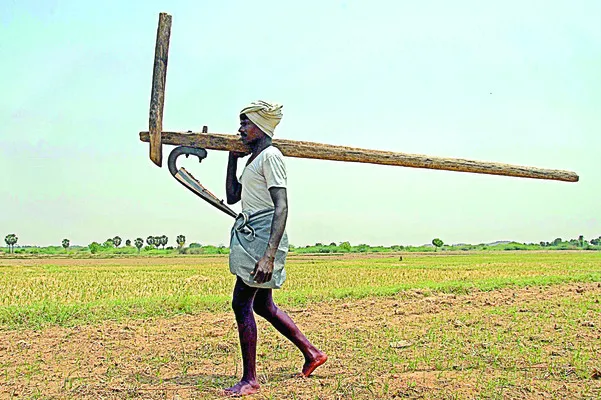 20 వేల మందికి ‘సాయం’ నిల్!