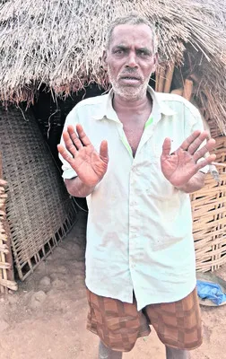 అడవిల