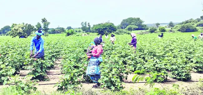 సం‘పత