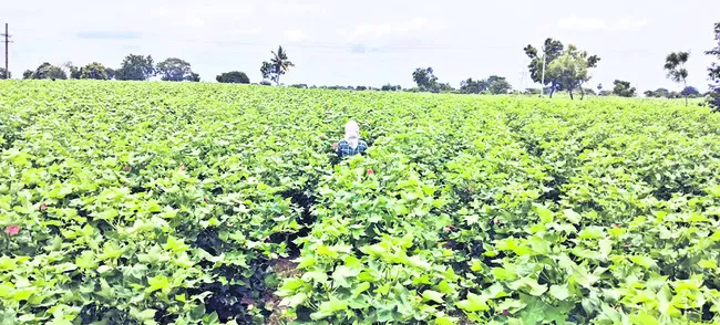 ముందస్తు ఒప్పందంతో ఆందోళన