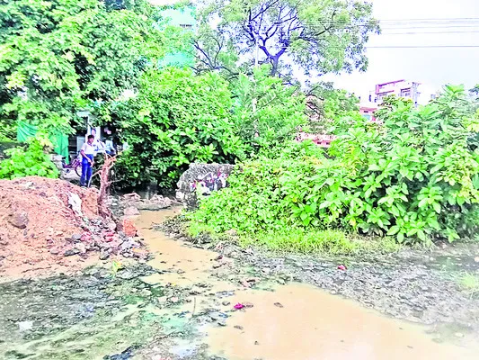 పడకేసిన పారిశుద్ధ ్యం
