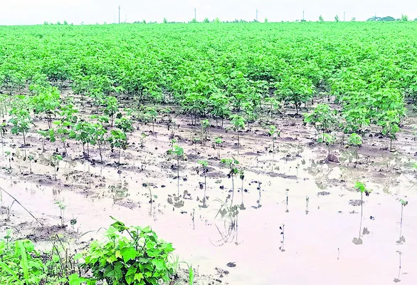 వానలతో వి‘పత్తే’నా..