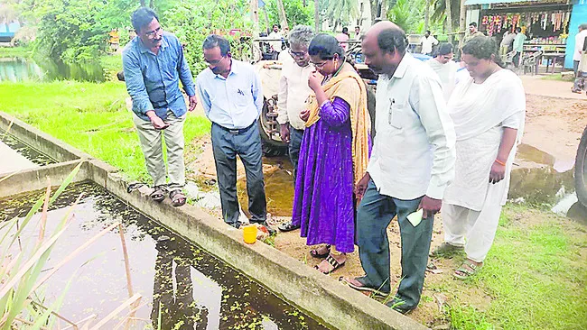గంబూషియా చేపల విడుదల