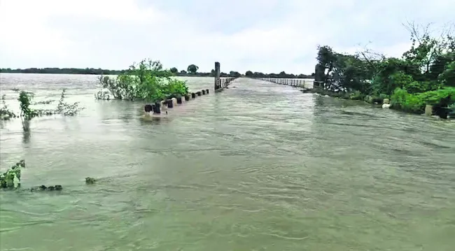నీట మునిగిన పంటలు 