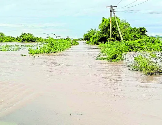 కృష్ణమ్మ దూకుడు 