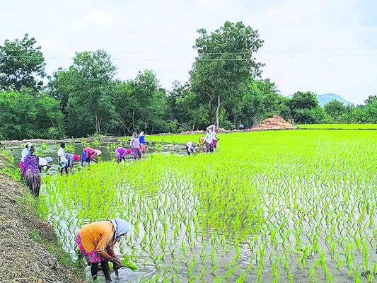45 శాతం అధిక వర్షం