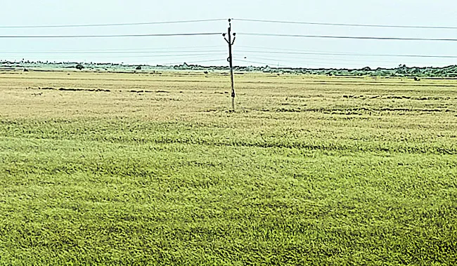 సాగుద