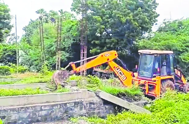చీమకు