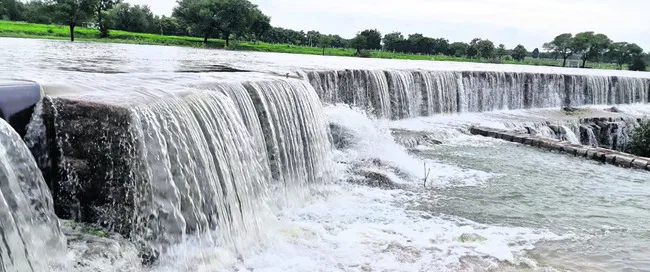 ఆశల సాగు