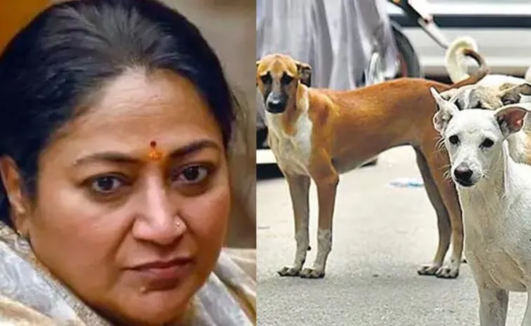 CM Rekha Gupta Attacked: My Son Dog Lover Says Accused Mother