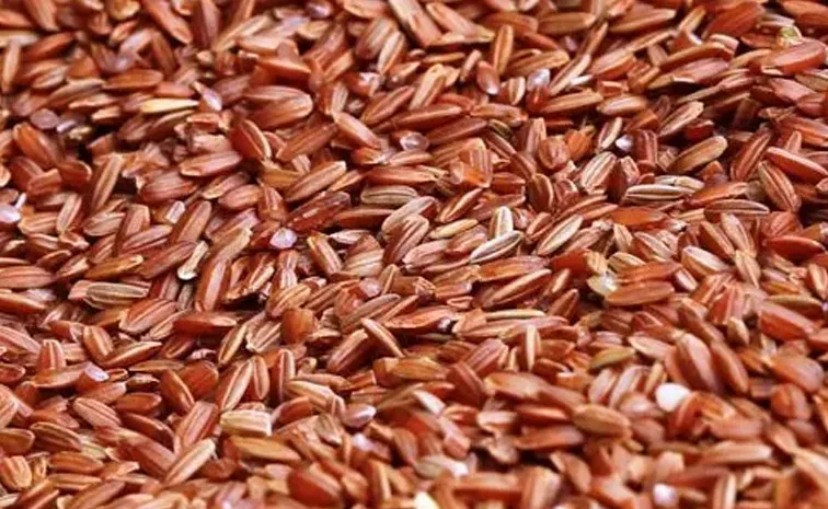 sagubadi Navara Rice Benefits check others