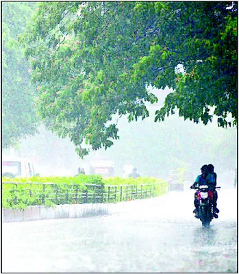 జిల్లాలో మోస్తరు వర్షం 