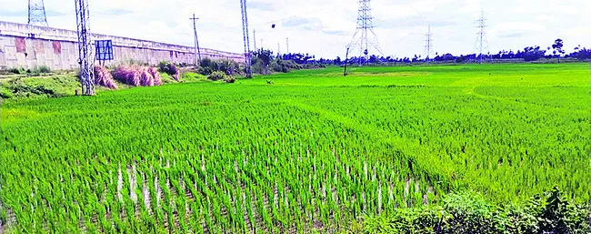 రైతుకు లేని బీమా ధీమా