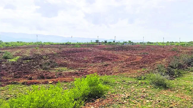 దర్జాగా ప్రభుత్వ భూమి కబ్జా 