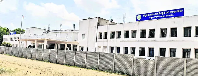 కలెక్