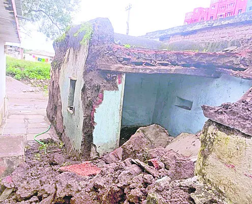 పరిశుభ్రతతోనే వ్యాధులు దూరం