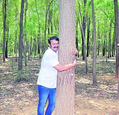 చెట్ల కోసం చెట్లతో మాట్లాడుదాం 