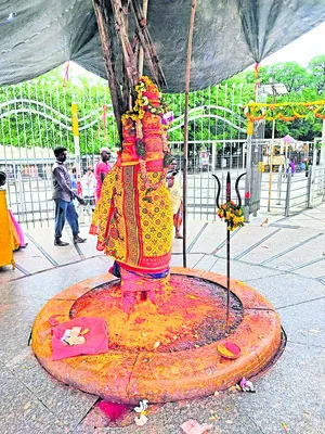 మహాజాతరకు.. నిధుల వరద