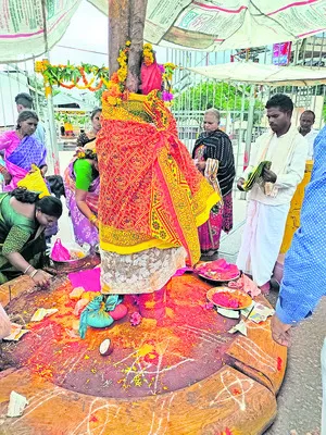 శాఖల వారీగా నిధుల కేటాయింపు వివరాలు (రూ.కోట్లలో)