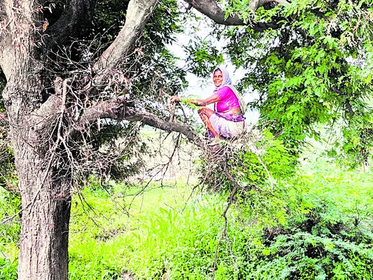 అరవై లోనూ అలవోకగా...