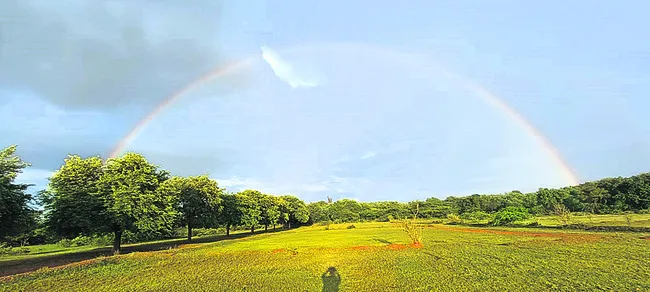 ● విన