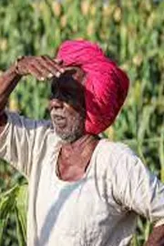 Land distribution In India  special story12