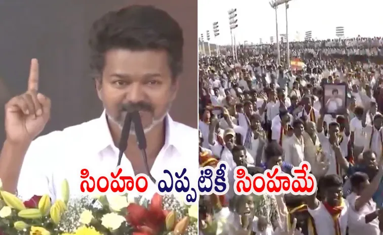 పవర్‌ఫుల్‌ డైలాగ్‌తో.. పొత్తుపై విజయ్‌ క్లారిటీ